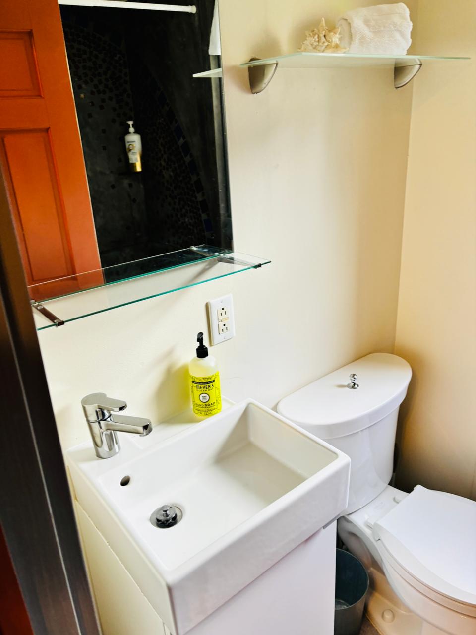 Compact sink with Meyer's hand soap