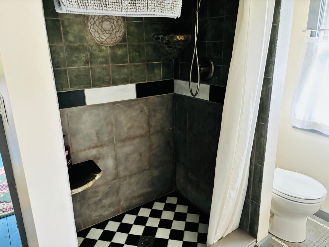Dark-tiled walk-in shower with checkered floor