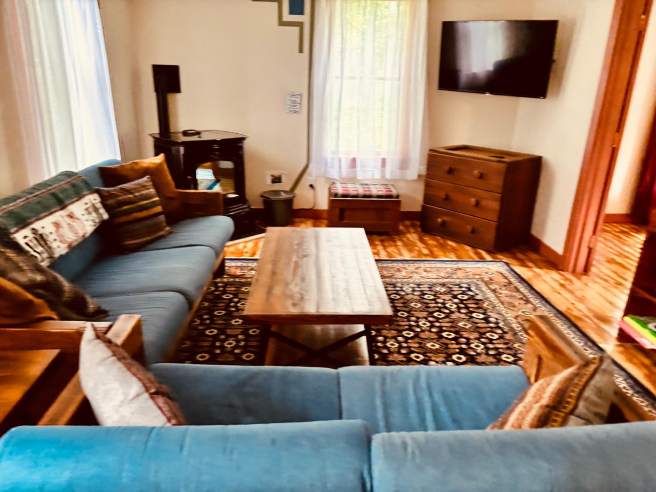 Blue sectional sofa with TV