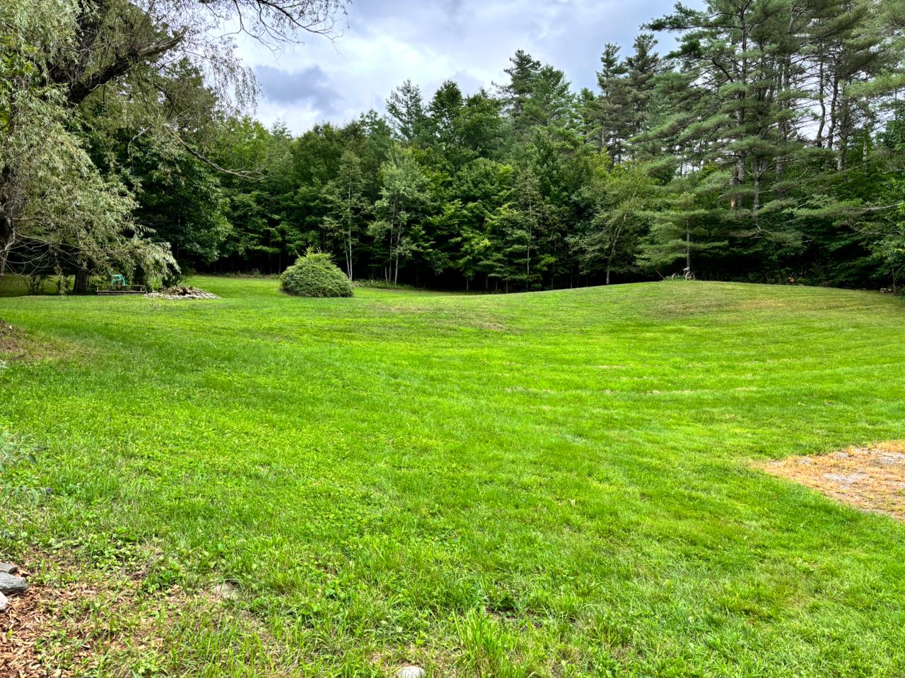 Expansive green lawn